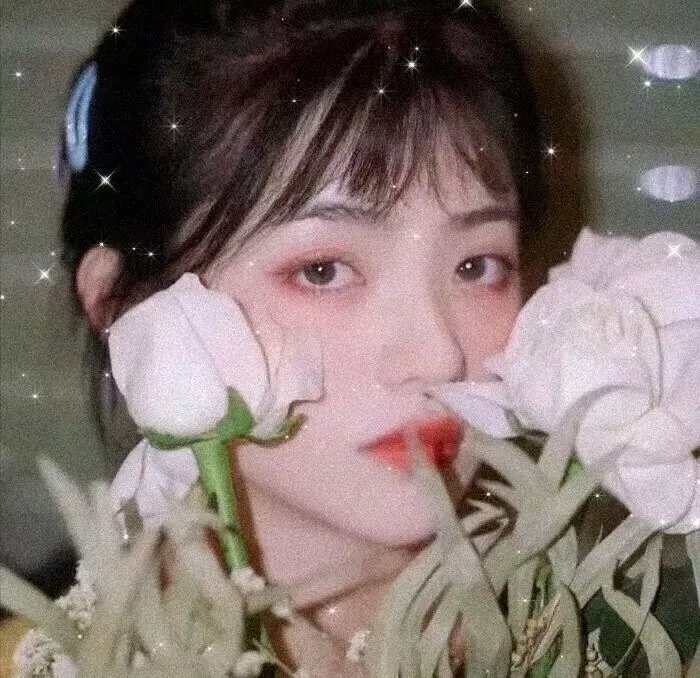 边塞丽春花